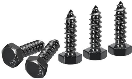 DTGN 5/16 x 1 Hex Lag Bolts - 20 Pack - for Woodworking, Furniture - 304 Stainless Steel Full Thread Hexagon Head Lag Screws for Wood - Black