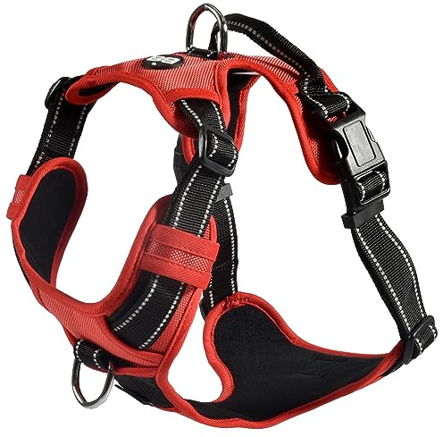 Bobby Canifrance, Rando Walk, Arnés para Perro, Arnés para Perro Mediano Pequeño Perro Grande en Nylon, Seguro, Cómodo, Reflectante, Ajustable, Rojo, S/32-48 x 1,6 cm