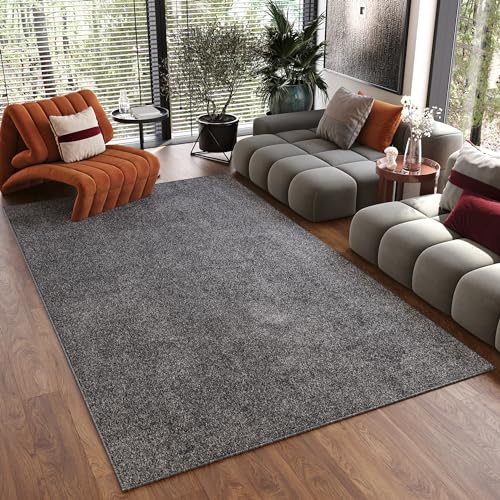 TAPISO Noyan Teppich Kurzflor Antirutsch Grau Dunkelgrau Einfarbig Waschbar Modern Design Waschmaschinenfest Wohnzimmer Schlafzimmer ÖKOTEX 80 x 150 cm