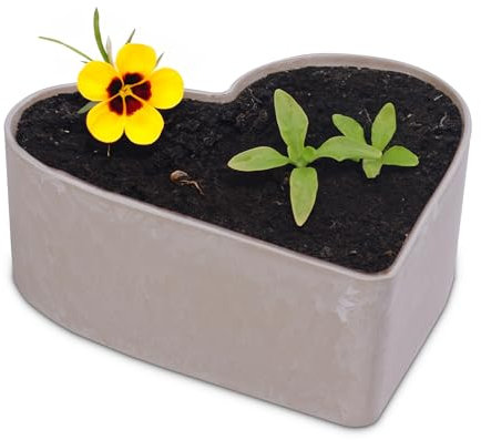 matches21 HOME & HOBBY Herz Pflanzschale Vintage Sand-beige 22 x 20 x 7,5 cm wetterfeste Grabschmuck Blumen-Schale