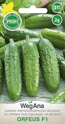 WegAna Concombre Orfeus F1 2g Graines Fruits cylindriques Robustes Graines de légumes Graines de culture Semences pour la serre