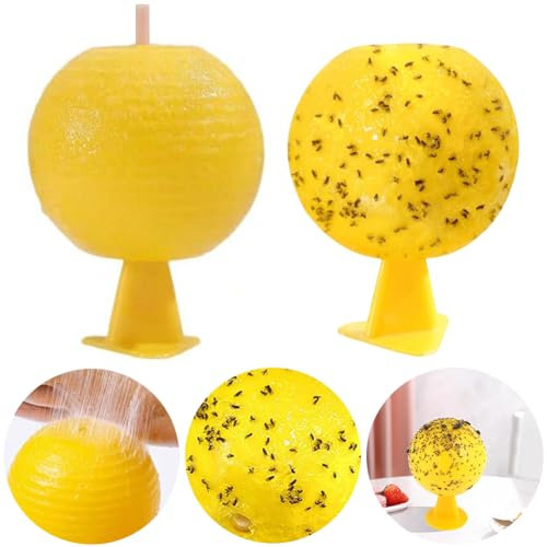 AMZLORD Pièges à mouches des fruits Pièges collants en forme d'agrumes pour intérieur et extérieur (A)