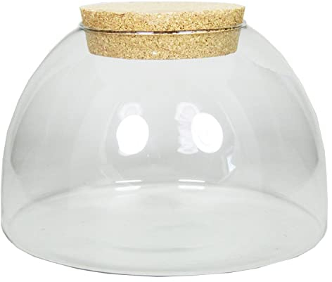 innaGLAS Bocal de Conservation avec Couvercle en liège MARENO, Transparent, 17 cm, Ø 24 cm - Bocal à provisions