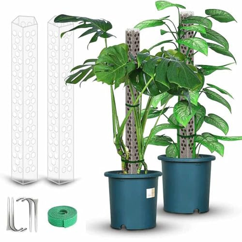 Lawnoval Pothos et Monstera Lot de 4 poteaux en mousse transparente pour plantes grimpantes 398,8 cm