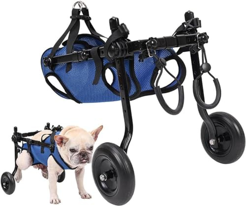 Chaise à roulettes légère pour chien, chariot pour animaux de compagnie réglable pour pattes arrière, chariot d'aide à la mobilité du chien avec roues pour chiots blessés avec 5-8KGmobilité handicapés