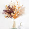 Lxoraziy 64 Piezas Ramo de Flores Secas Boho – Hierba de Pampas, Colas de Conejo, Eucalipto y Más – Decoración Floral Natural para Hogar, Boda, Oficina y Regalos DIY