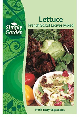 “Lettuce Seeds – French Mixed Salad Leaves – Grow Your Own Cut & Come Again Vegetable Seeds for Garden & Containers”