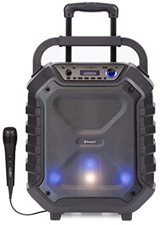 Reflexion DJ900BT Mobiler Partylautsprecher (Trolleyfunktion) (400Watt max. Musikleistung) (Bluetooth V5.0, Equalizer- Funktion, Disco LED-Beleuchtung), Schwarz