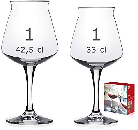 Rastal Teku Set 2 verres à dégustation bière artisanale 1 Teku 42,5 cl, 1 Teku Mini 33 cl