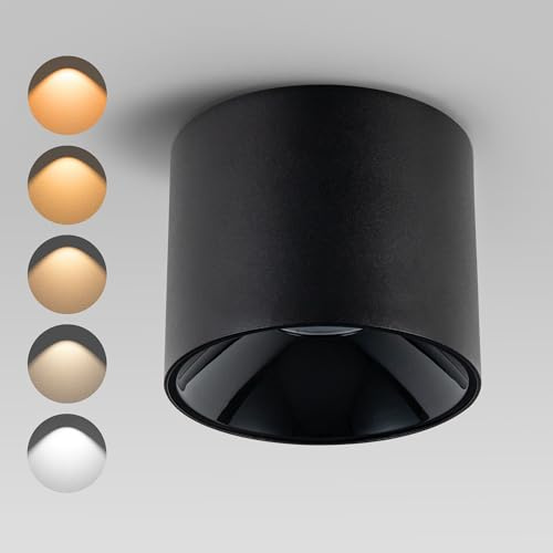 Ajbvp Modern LED Ceiling Spotlight 5CCT 4.72 inches 18W Dimmable Ceiling Light,2700K-5000K,for Living Room Spotlight Indoor (Black - 18 Watts)
