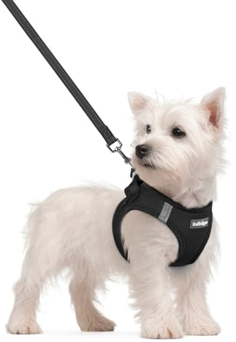 rabbitgoo Arnes Perro Pequeño con Correa Reflectante, Negro S, Chaleco Perro Ajustable Fácil de Poner, Arnes Antitirones de Malla Suave Transpirable, Arnés para Perros Pequeños Cachorros