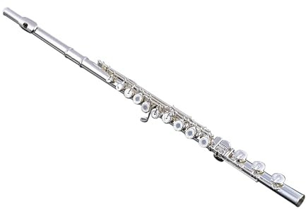Flauto traverso flauto per principianti Strumento per flauto bocchino in argento 17 fori aperto coda B chiave francese universale professionale