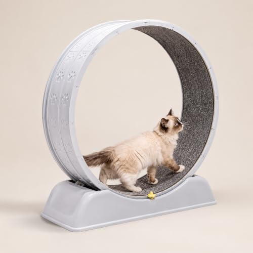 Cat Wheel, Large Cat Exercise Treadmill Wheel with Brake and Carpeted Runway Running Wheel Teaser for Indoor Cats Interactive Toys (79 * 34 * 84cm)