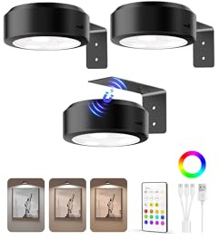 EZVALO Picture Lights for Wall, 2000mAh Rechargeable Battery Magnetic Poster Lights with 3 Color Temps & 12 RGB, Remote Dimmable Timer Painting Light, Wall Decor Light for Art Display, Frame (3 Pack)