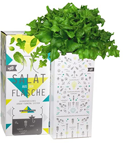 Dresden Onlineshop Bottlecrop Salat aus der Flasche | Anzuchtsystem Urban Farming Set für zu Hause (Eisblattsalat, Starterset)