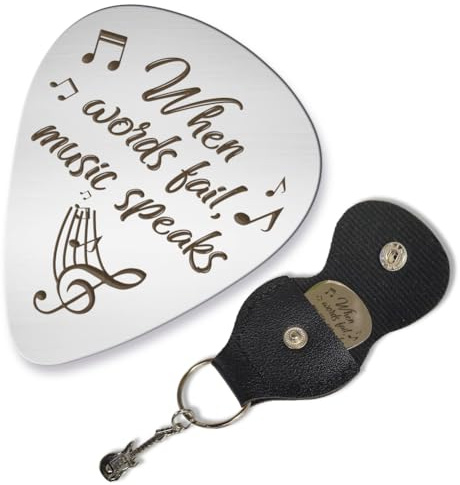 arricraft 1 médiator de Guitare en Acier Inoxydable, Quand les Mots Échouent, la Musique Parle Médiators avec Support Thème Musical Médiator de Basse Cadeau Musical pour Musicien Papa Mari Frère