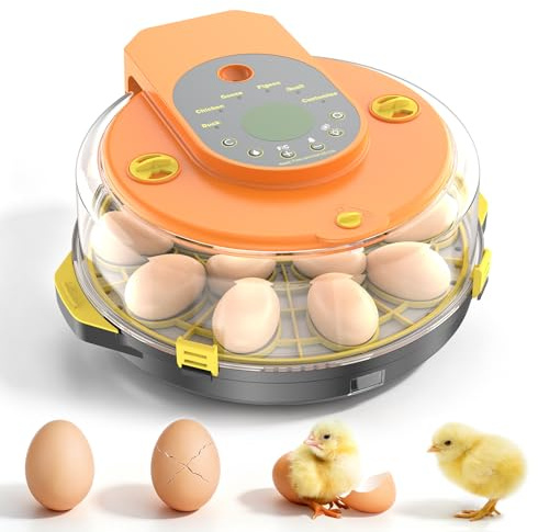 Incubadora Huevos Gallina Automática, Aparato Incubador para Hasta 15 Huevos con Volteo Automático, Regulación de Temperatura, Vista 360°, Fácil de limpiar