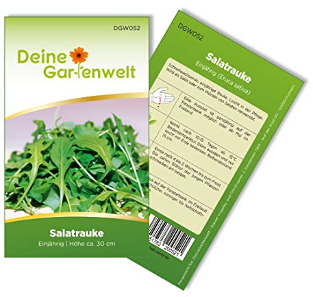 Salatrauke Einjährig Samen - Eruca sativa - Salatraukesamen - Gemüsesamen - Saatgut für 200 Pflanzen