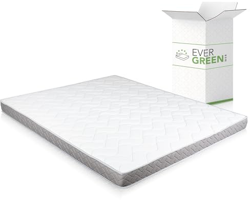 EVERGREENWEB - Colchón Doble 140x190 cm para sofá Cama, colchón Alto 12 cm de espumación para Cama, ortopédico, ergonómico, con Funda Blanca hipoalergénica y antiácaros DAYBED