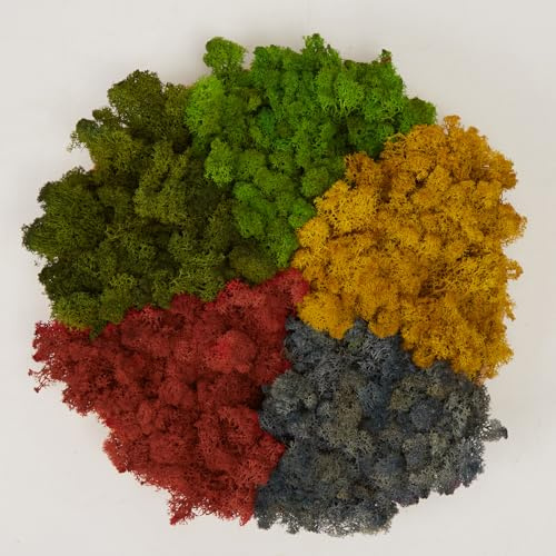 Prefleur Preserved Reindeer Mix Craft Moss Natural Green DIY Kit Gardenning Art Wall Decor Florist Easter Table Decor Wedding Decor (1lb)(Green-06 Green-01 Coral Sunflower Blue-1)(Style-3)