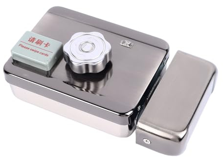 LUCKDANO Serrure de Porte Télécommandée, Serrure de Porte électronique Intelligente, Entrée sans Fil sans Fil pour la sécurité de la Maison et du Bureau, Conception Efficace en Acier Inoxydable