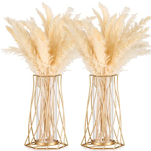 Sziqiqi Gold Blumenvase Glasvase für Tischdeko, 2 Stück Kleine Modern Vasen Deko für Pampasgras Tulpen Rose Vase Glas Metall Tulpenvase Reagenzglas Vase für Hochzeit Weihnachten Ostern Valentinstag