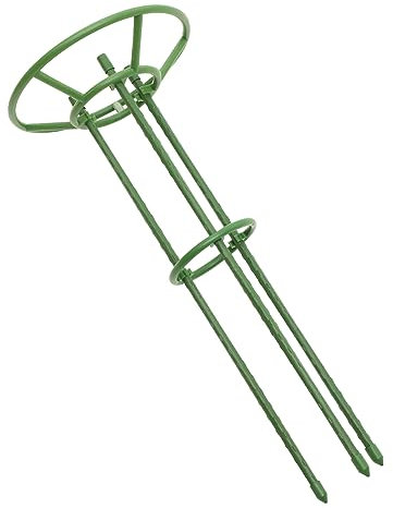 ibasenice Cage à pour Jardin Support Plante Extérieur Tuteur Plantes Cage Fleur Outil Jardinage Support Plantation Présentoir Grimpante Hautes Intérieur