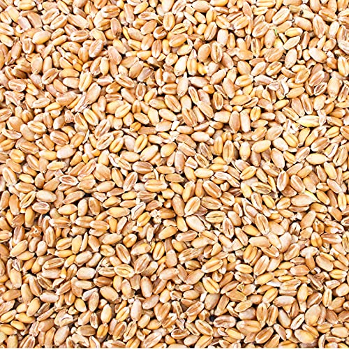 Petigi 5 Kg Weizen Hühnerfutter Hühner Huehner Futter Futterweizen Weizenfutter Weizenkorn Korn Getreide Geflügelfutter Sack Weizenkoerner Koerner Wildvögel