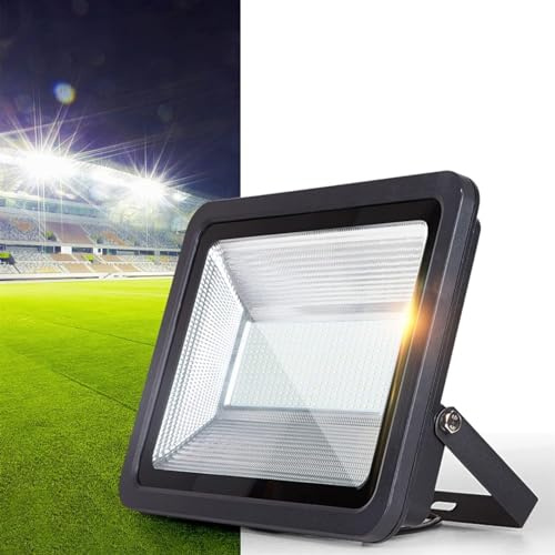 LED Flood Light Outdoor, Security(30W)