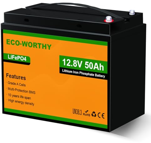 ECO-WORTHY LiFePO4 batteri, 12 V, 50 Ah med 50 A BMS-skydd och 4 000 cykler, 6 40 Wh litiumbatteri 12 V 50 Ah för trolling-motor, båt