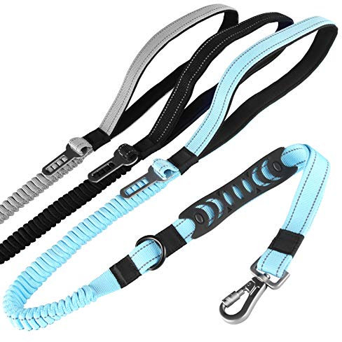 Skymee Laisse élastique pour Chien Lourd 5 en 1 Multifonction Absorbant Les Chocs avec Seau de siège de Voiture, Double poignée de Circulation pour Chien et Course à Pied Bleu