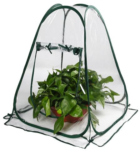 NAVESO Mini Serra da Balcone Piccola, Serra Piccola per Piante, Mini Serra Pop Up, Piccola Serra da Giardino con Avvolgibile per Piante, Non Necessita di Montaggio (70 x 70 x 80 cm)