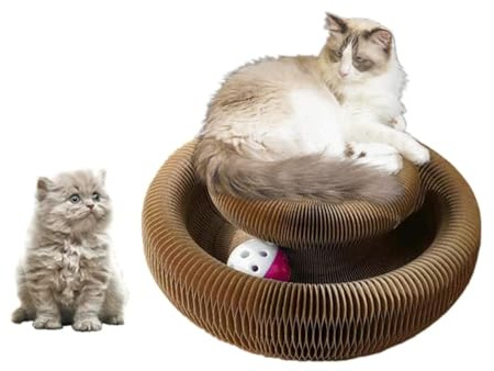 Enkman Kitty kurlz Magic Organ Cat Scratcher Board Cat Ball Adventure The Ultimate Interactive Mental Physical Exercise for Indoor Cats Toy