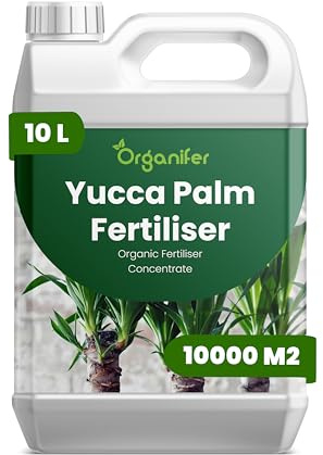 Fertilizzante Liquido Per Yucca Palm - 10L - NPK 2-1-8