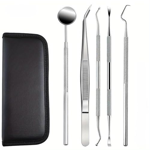 Tooth Polisher | Plaque Remover, Advanced Stain Remover, Tartar Remover, Dental Cleaning Kit, Teeth Whitening (Silver)