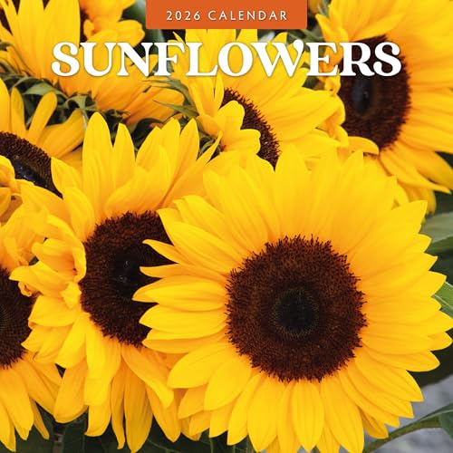 Sunflowers - 2026 Square Wall Calendar - by Red Robin Publishing