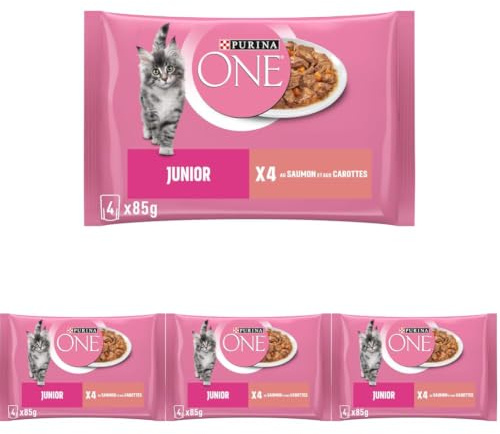 PURINA ONE Junior Effilés Au Saumon pour Chaton | Sachet Repas 4 x 85g (Lot de 4)