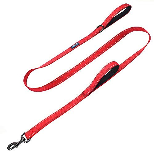 Max and Neo Double Handle Traffic Dog Leash - Reflective, 4 FT (RED)