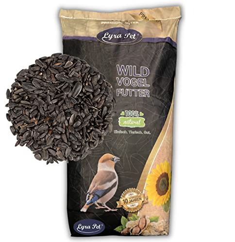 Lyra Pet® | 25 kg Sonnenblumenkerne Schwarz | Neue Ernte | Ganzjahres Vogelfutter für Wildvögel l Für Kleine Vögel & Jungtiere durch Dünnere Schale | Optimale Energie durch Hohen Ölanteil