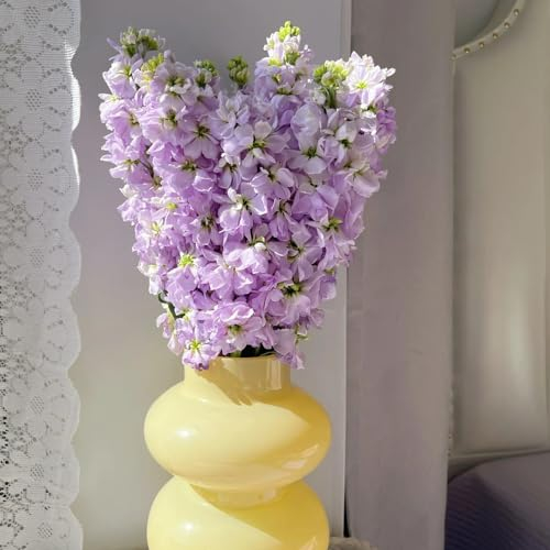 100 pcs veilchensamen（usambaraveilchen） balkon deko balkon blumensamen pflanzen garten garten deko geschenk garten gartendeko für draußen hornveilchen samen anzucht wildblumensamen