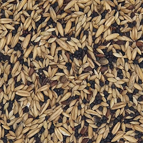 Kanarienfutter mit Rübsen - Gladen 2,5kg