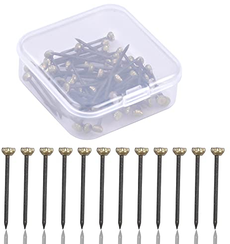 Volumoon Lot de 60 Clous de Suspension pour Photos, Clous Photo de 25 mm de Long, Clous de Cadre, Photo Picture Pins, Clous Cadre avec Boîte de Rangement en Plastique, Pour Mural, Toile, Cadre Miroir