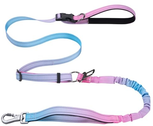 Laisse pour Chien à Mains Libres Laisse pour Mains Libres Réfléchissantes pour la Course, La Marche et la Randonnée pour Chiens de Moyenne et Grande Taille (Bleu Rose)
