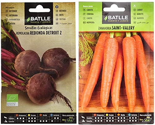 Remolacha Detroit 2 - ECO & Zanahoria SAINT VALERY