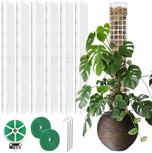 Monstera, 6 pezzi da 61 cm, asta di muschio Monstera, asta per piante da giardino con nastri per piante e , asta per muschio per Monstera, Moss Pole per piante rampicanti da appartamento
