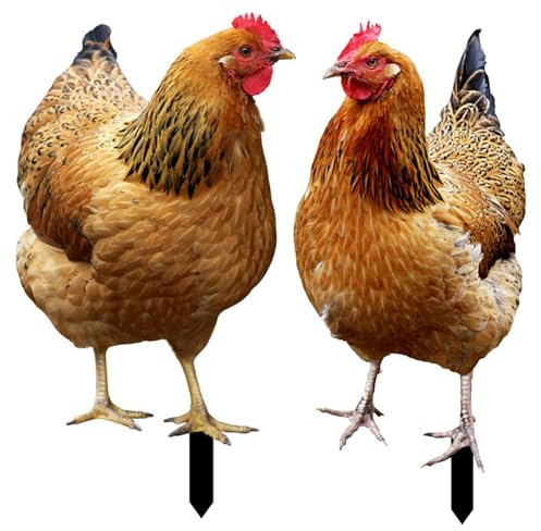 Xiixuuj Décor Acrylique 2D - Statue et Sculpture Réaliste de Poulet pour Jardin et Cour - Décoration Décorative, Cadeau pour Les Amoureux