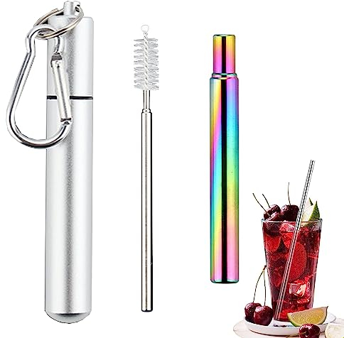 MINGZE Cannucce Riutilizzabili Pieghevoli, in Acciaio Inox Paglia Pieghevole con Custodia Rigida Portatile con Spazzole di Pulizia e Portachiavi, per Viaggi Casa Ufficio (Argento-colorato)