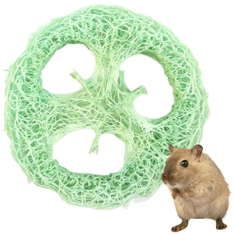 Giocattoli Masticabili In Loofah per per Cincillà