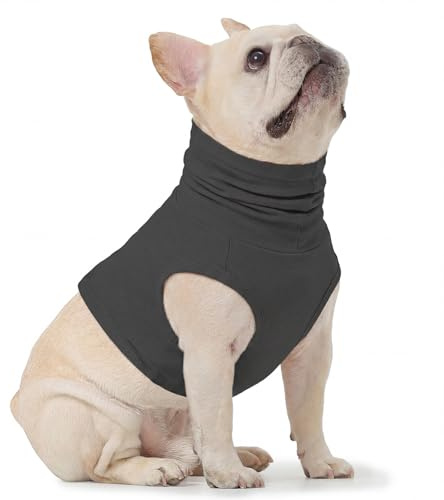 PUMYPOREITY Body Post Operatorio Cane, Maglietta Protezione Orecchie Cani Body Chirurgico Bendaggi Collo Ferite Fascia Ematoma all'orecchio (Grigio, M)