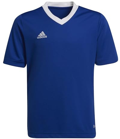 adidas Unisex Kinder Entrada 22 Jersey, Royal Blue, 15-16 Years
